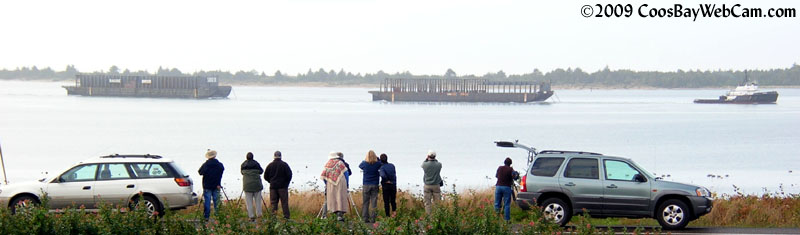 Pelican bird-watchers on Nov 8, 2009 Pelican bird-watchers on Nov 8, 2009