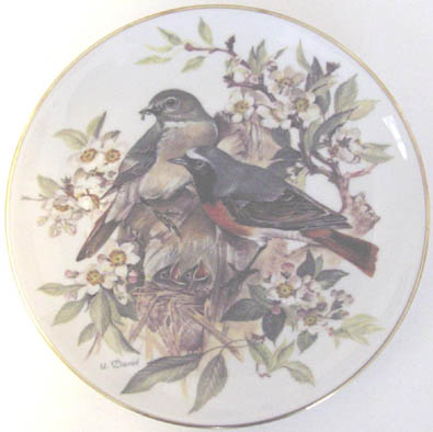 Gartenrotschwanz - Common Redstart - by Ursula Band - Plate Front