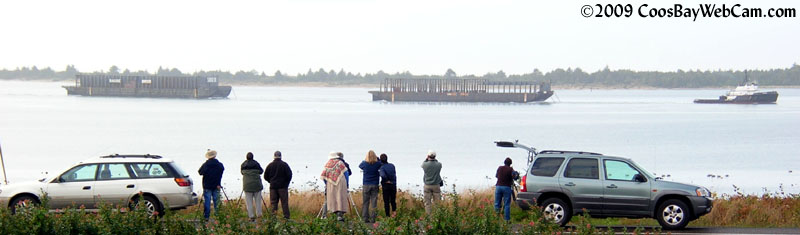 Pelican bird watchers on November 8, 2009